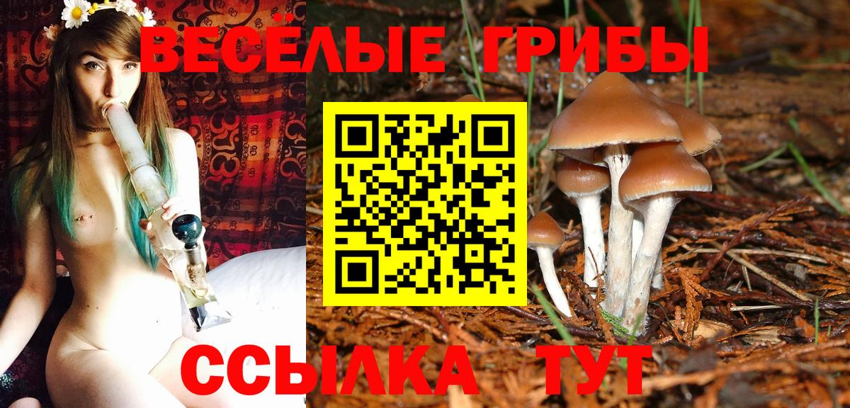 продажа наркотиков  Галлюциногенные грибы MAGIC MUSHROOMS  Вход с VPN  Кизилюрт 