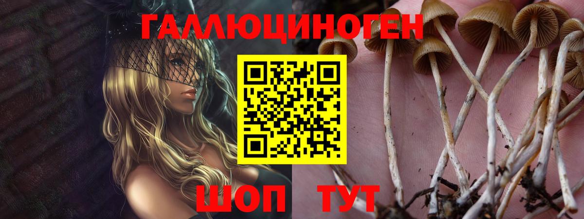 Псилоцибиновые грибы прущие грибы Кизилюрт